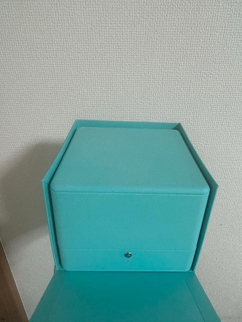 専用です❗️Tiffany & Co. シルバーチェーンブレスレット