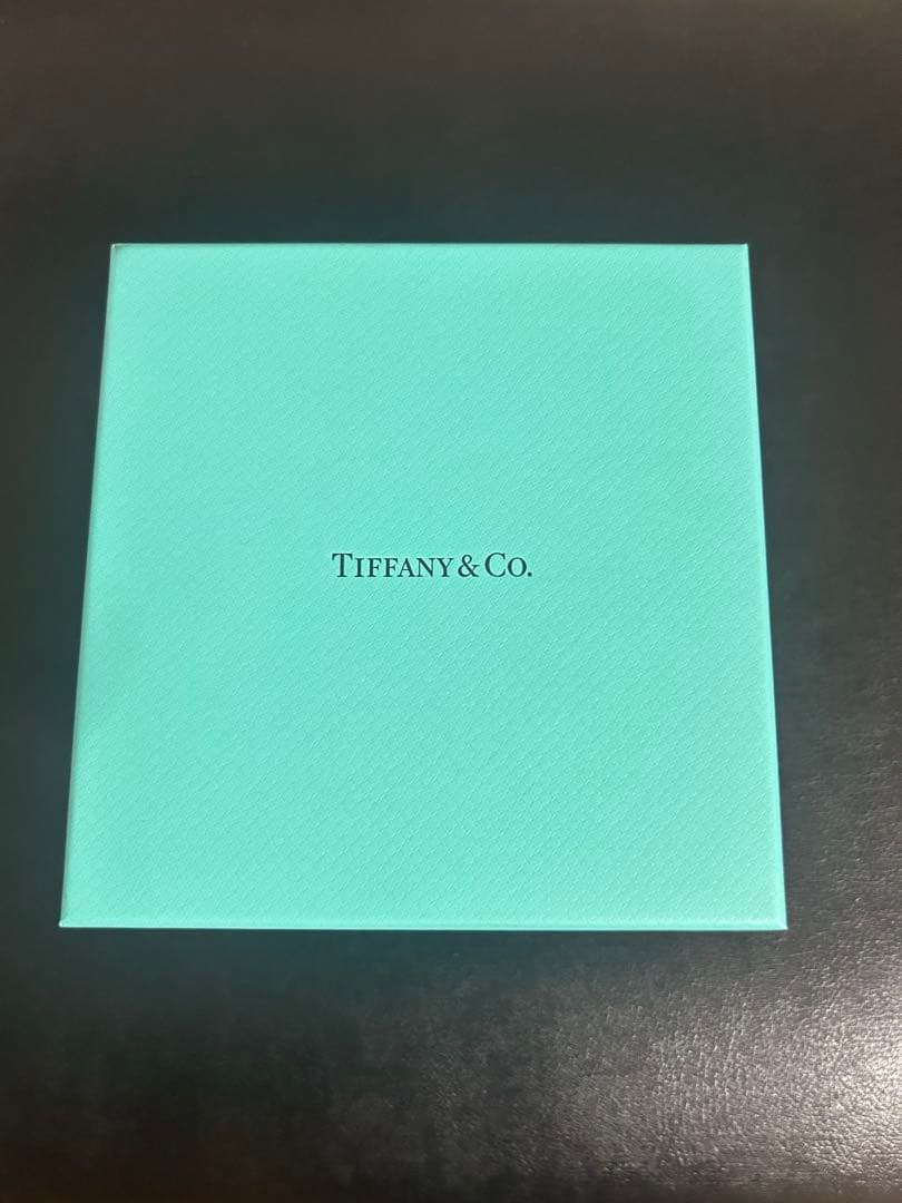 専用です❗️Tiffany & Co. シルバーチェーンブレスレット