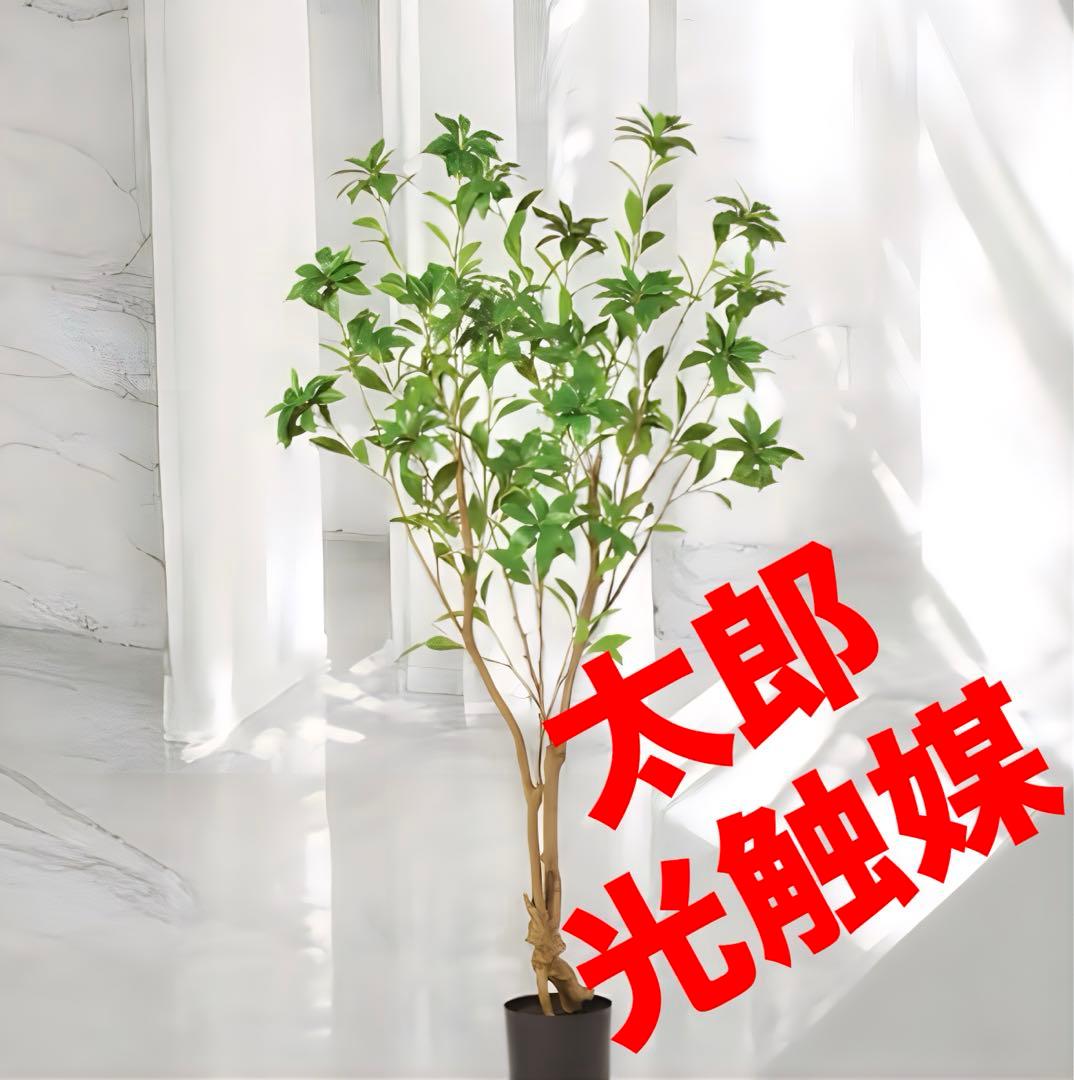 光触媒　人工観葉植物　ウォールグリーン　フェイクグリーン　アセビ150