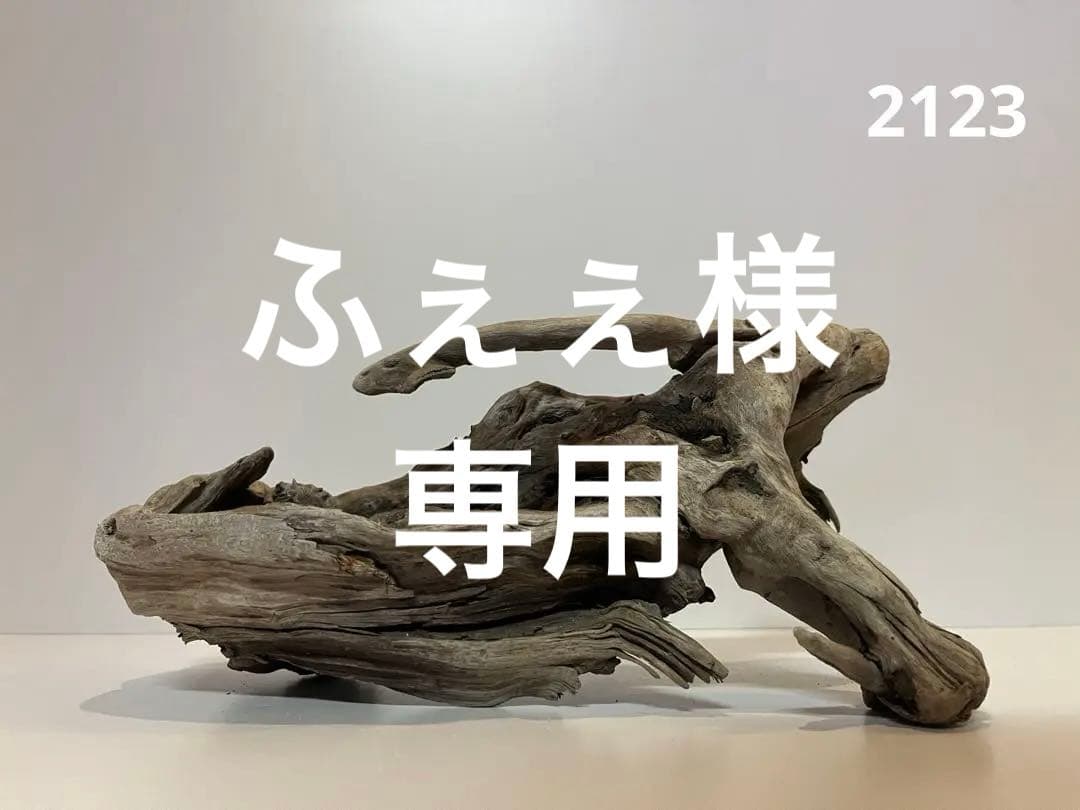 ふぇぇ様 リクエスト 3点 まとめ商品
