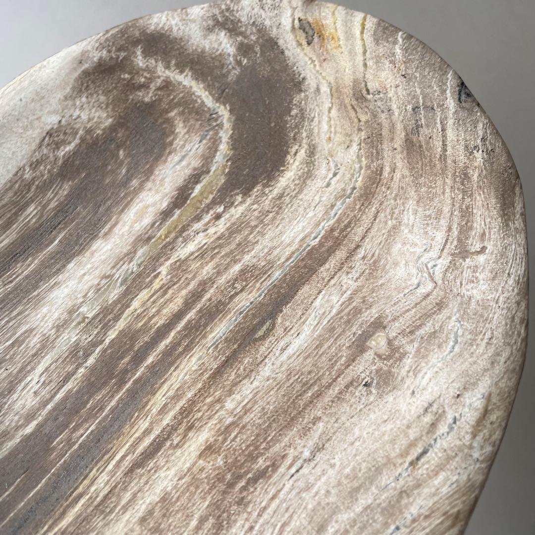 ペトリ プレート 珪化木 ペトリファイドウッド