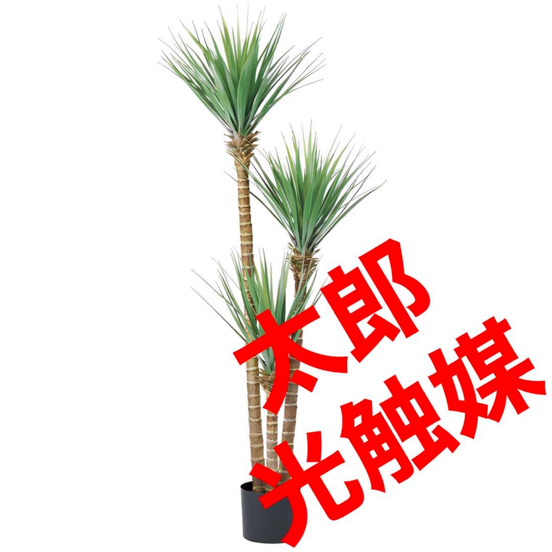 光触媒　人工観葉植物　ウォールグリーン　フェイクグリーン　ドラセナユッカ1666