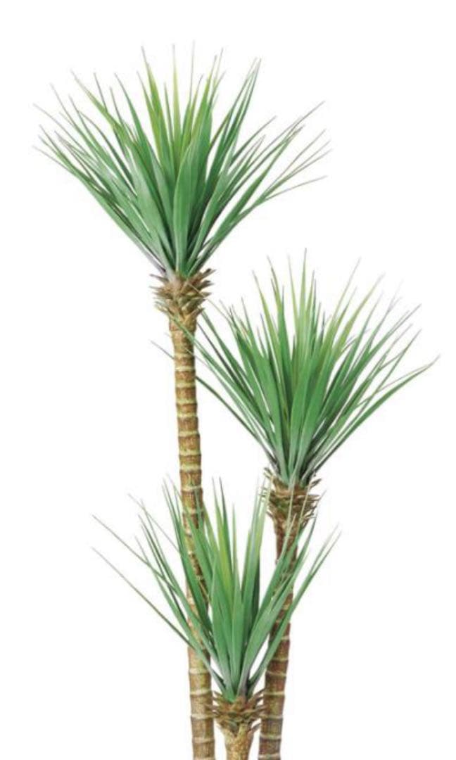 光触媒　人工観葉植物　ウォールグリーン　フェイクグリーン　ドラセナユッカ1666