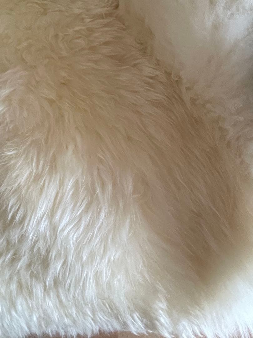 アイボリー・シープスキン・ムートン・ラムファー