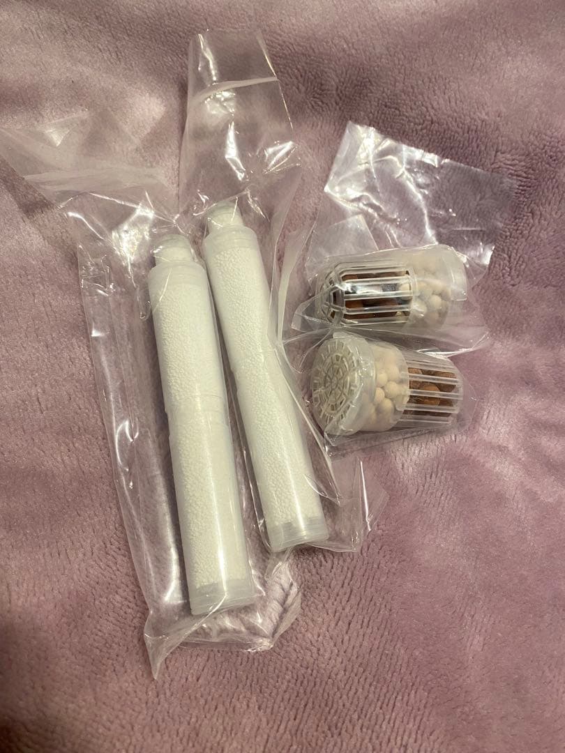 ガイアの水　シャワー用カートリッジ　2セット