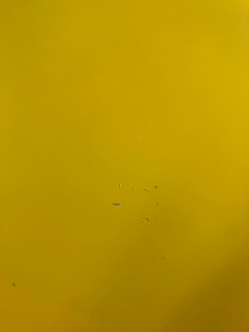 セブンチェア　イエロー　黄色