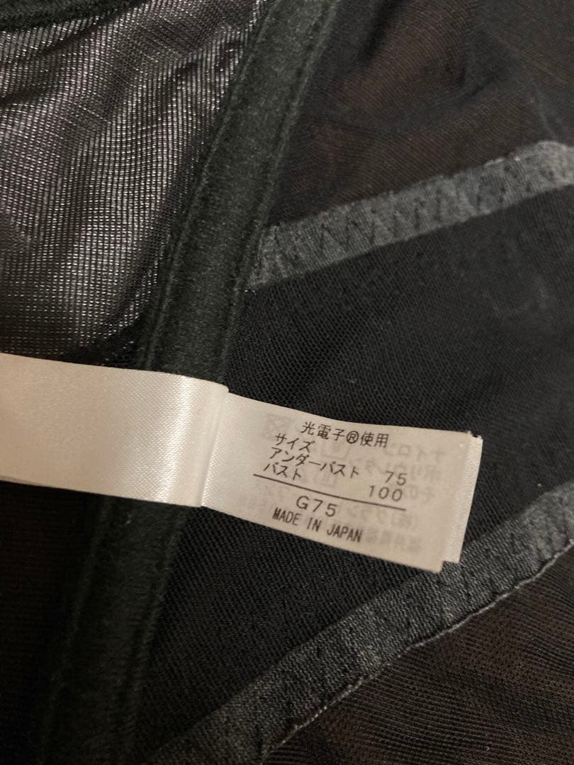 【正規品】グラントイーワンズ　ニッパービスチェ　ミスティブラック　75G