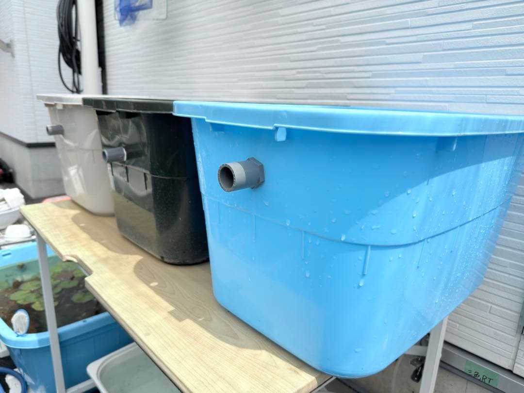 ★お買い得★たらい36L(4個)メダカ飼育容器オーバーフロー トロ舟プラ舟めだか