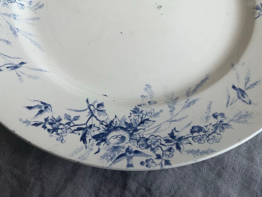 ＊希少＊ 大皿 Creil et Montereau LINOTTE リノット