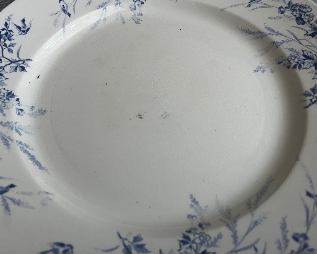 ＊希少＊ 大皿 Creil et Montereau LINOTTE リノット
