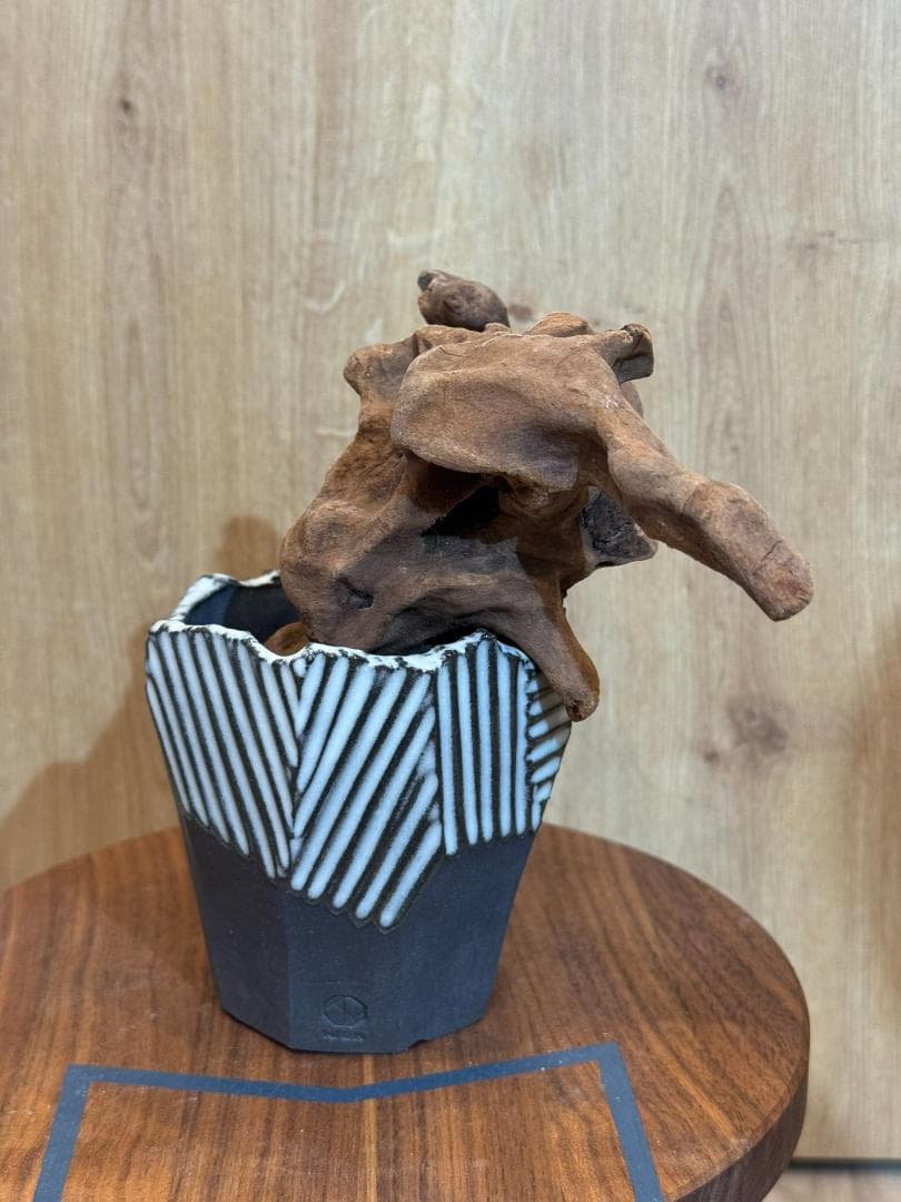 N/OH コロ鉢 ブラック SSサイズ