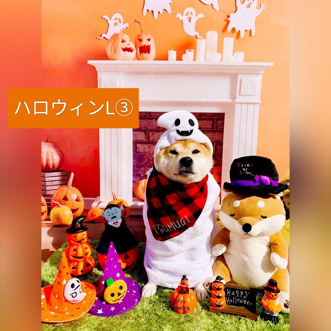 縦長　背景布×8+1　ペット撮影用ブース　トリミングチョーカー販売中　クリスマス
