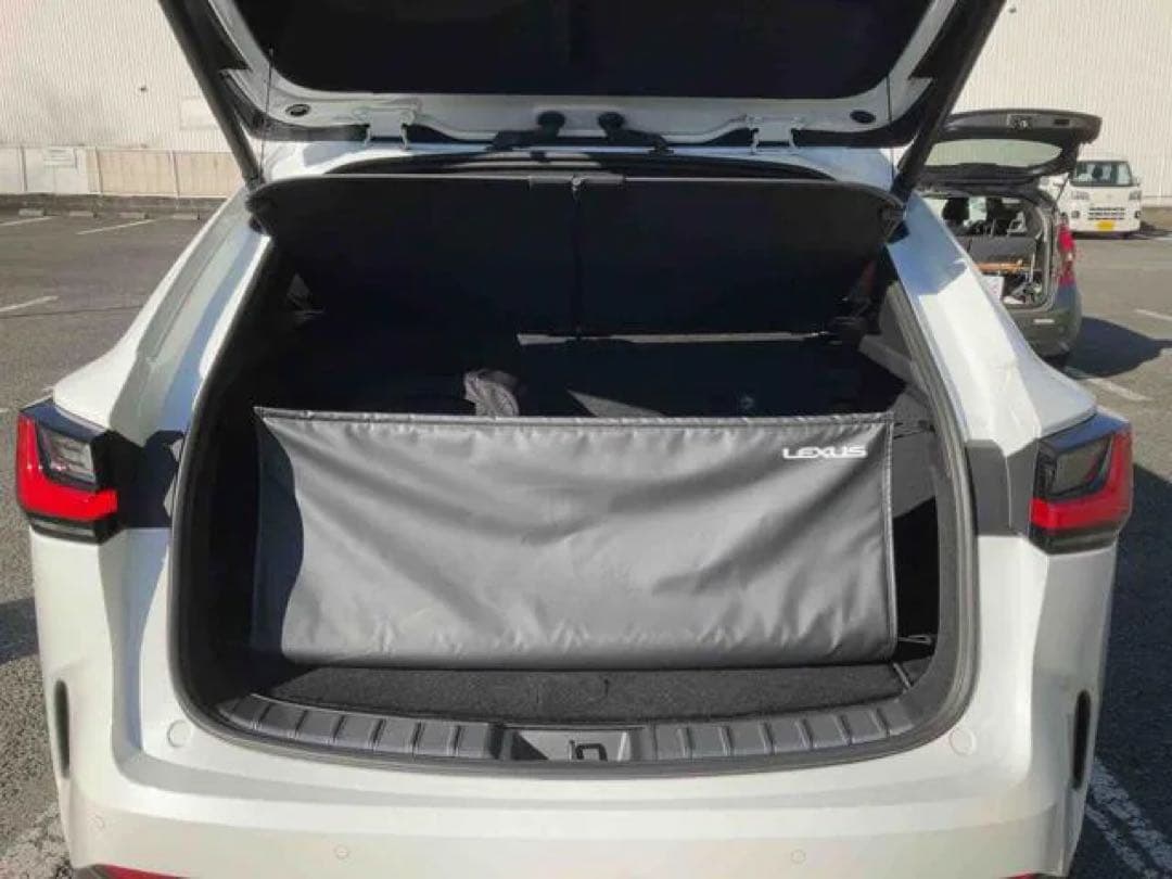 LEXUS レクサス NX バックドアオープニングガード