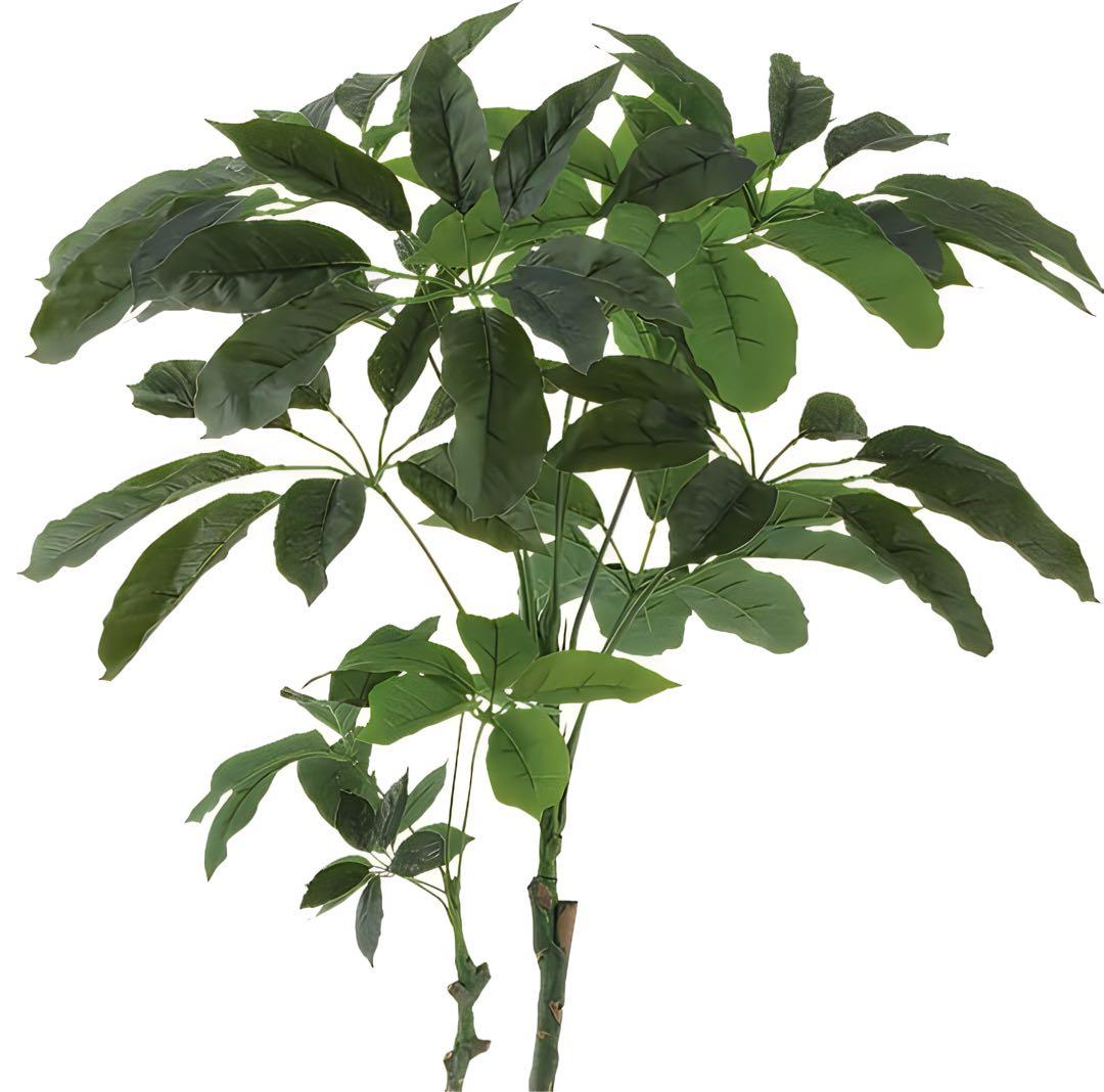 光触媒　人工観葉植物　ウォールグリーン　フェイクグリーン　ブラッサイア170