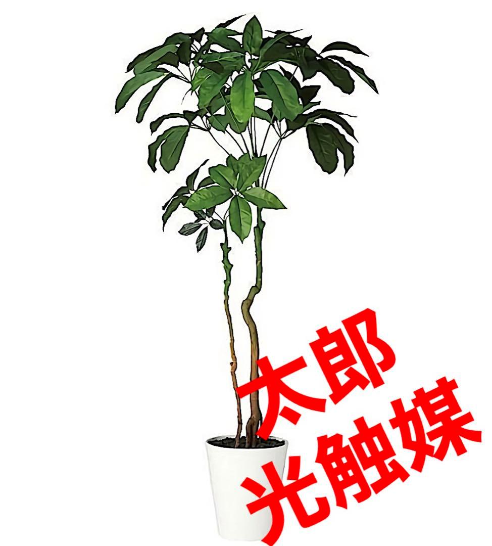 光触媒　人工観葉植物　ウォールグリーン　フェイクグリーン　ブラッサイア170
