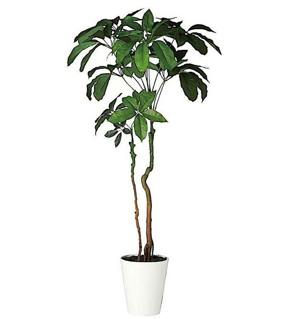 光触媒　人工観葉植物　ウォールグリーン　フェイクグリーン　ブラッサイア170