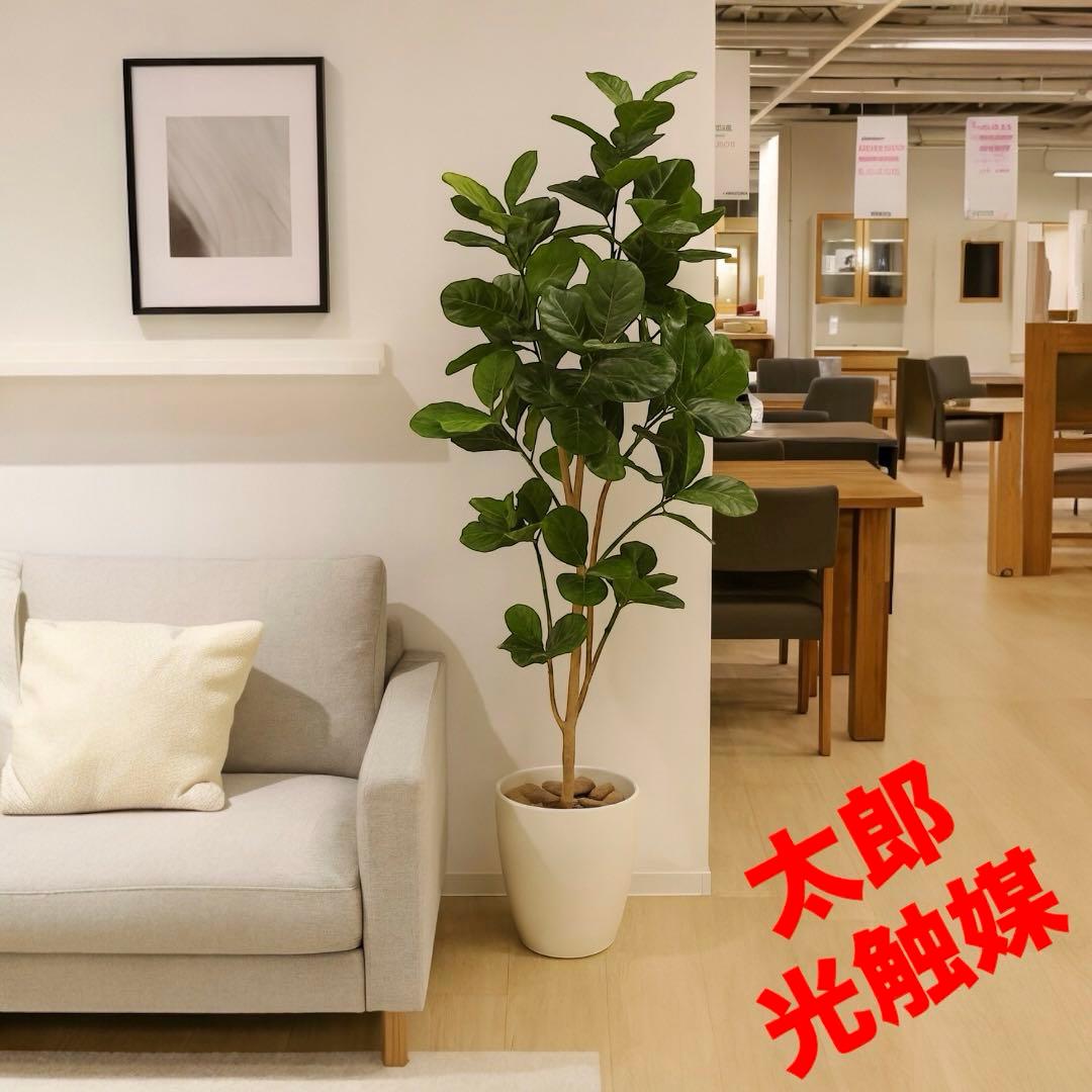 光触媒　人工観葉植物　ウォールグリーン　フェイクグリーン　パンの木125ptw