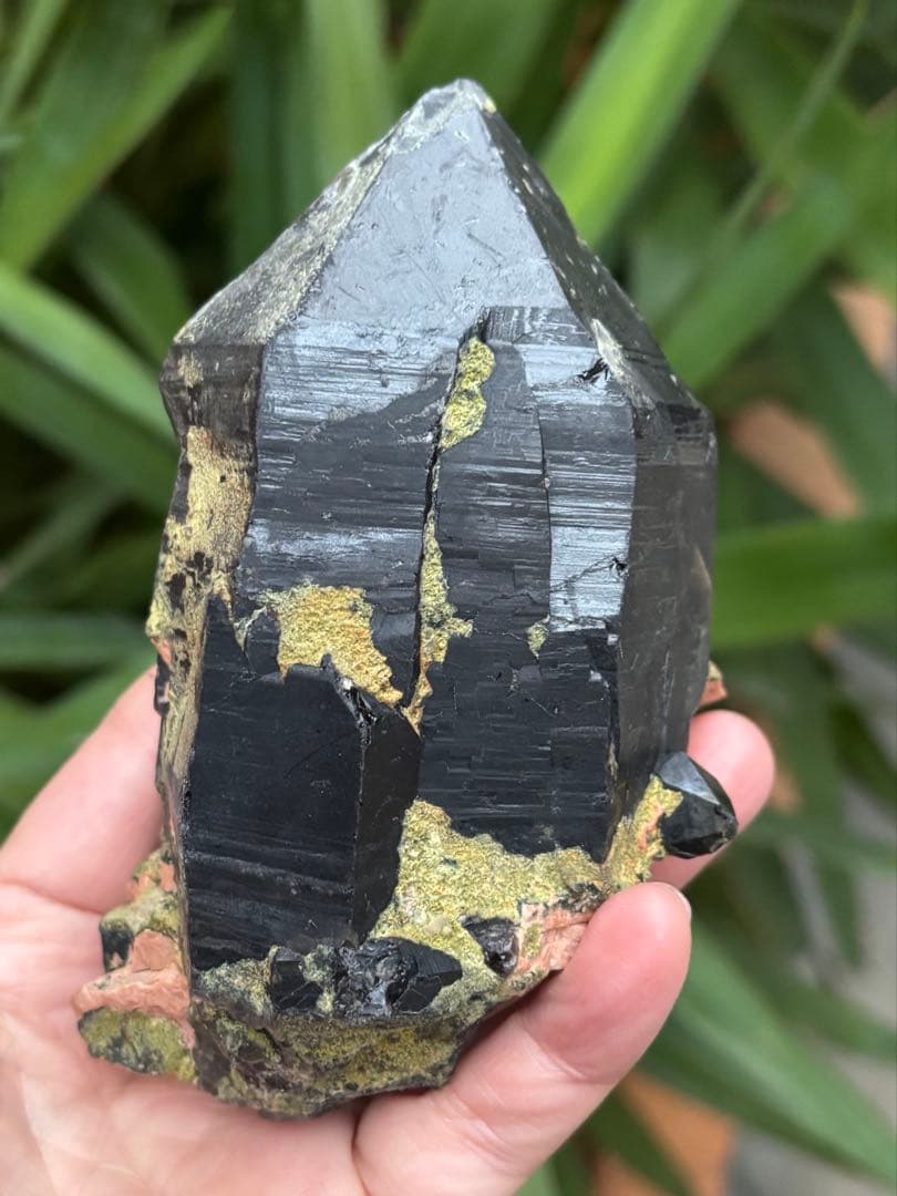 中国山東省産　モリオン　ポイント　557g エピドートあり　台座付　力強さ