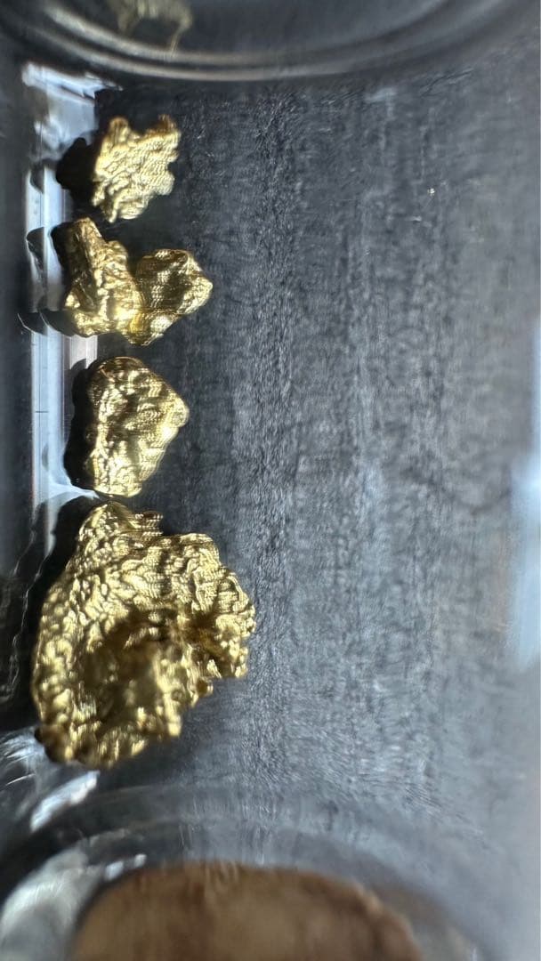 砂金　中粒