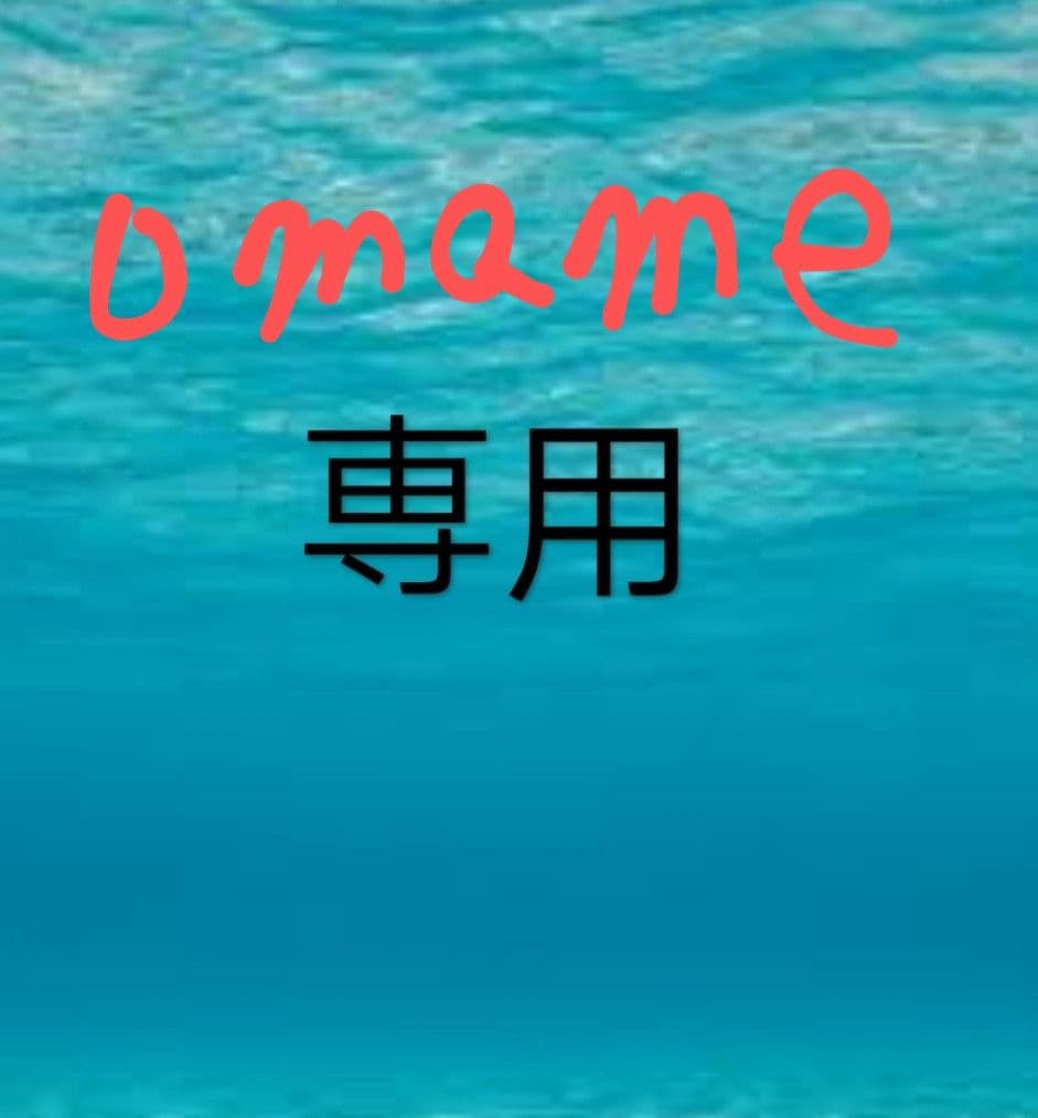 筋子塩２ｋ 貝柱大 omame