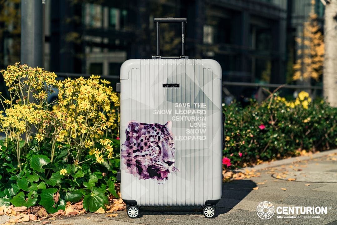 CENTURION 29インチ日本限定　ホワイト　グレー　フレーム型　Lサイズ