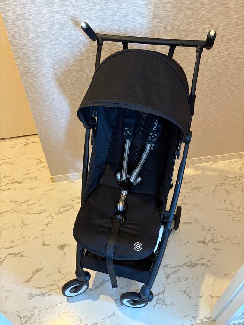 サイベックス　リベル2024年モデル