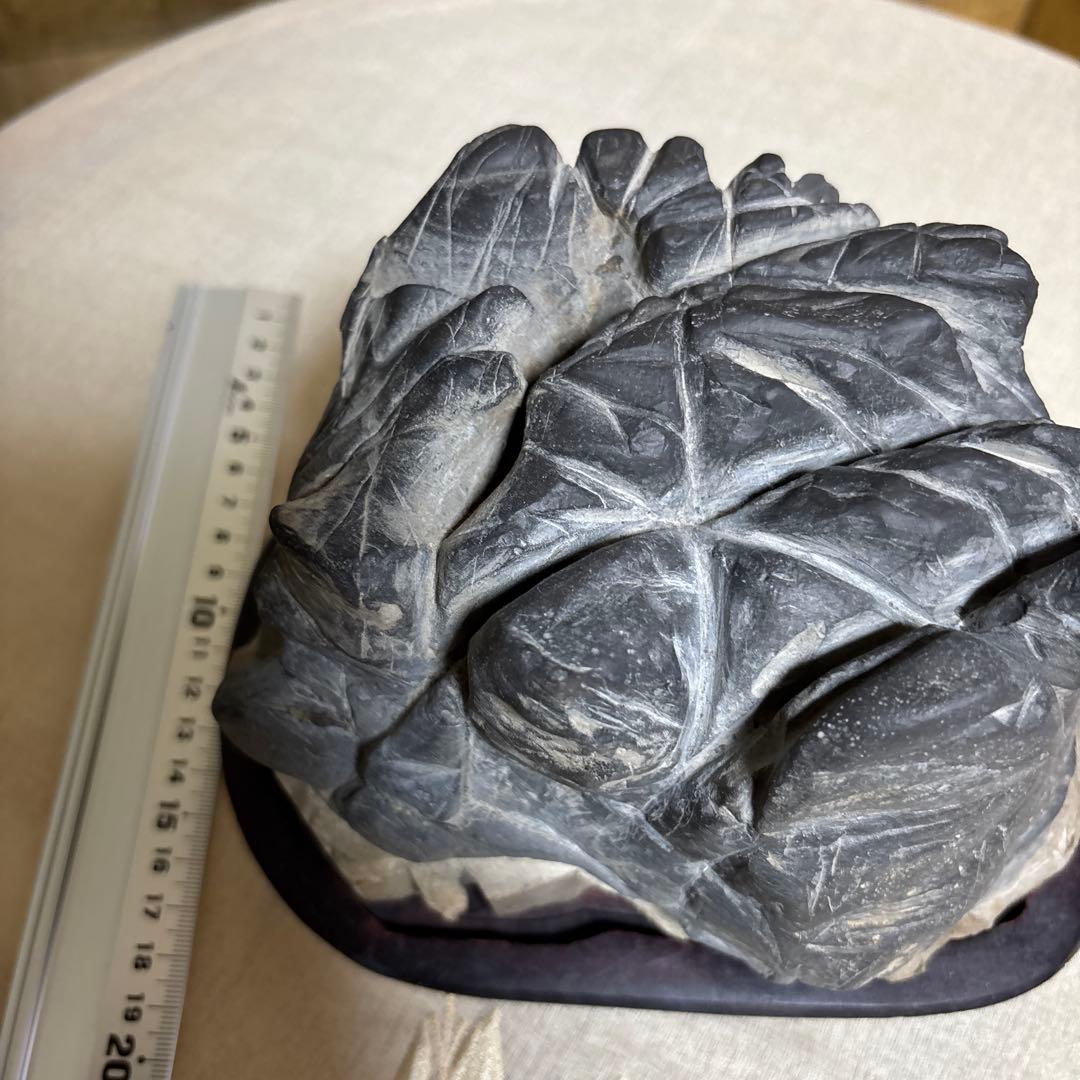 亀の形 水石 黒色 木製台座付き約3キロ