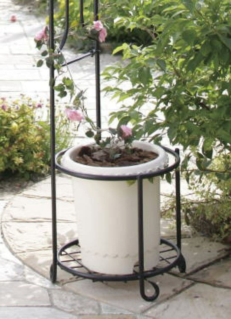 アーチ バラ クレマチス　ガーデニング 庭 ガーデンアーチ　ローズ　 薔薇アーチ