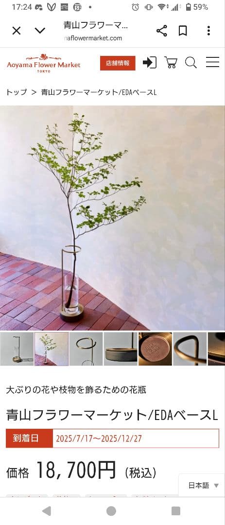 青山フラワーマーケット/EDAベースL