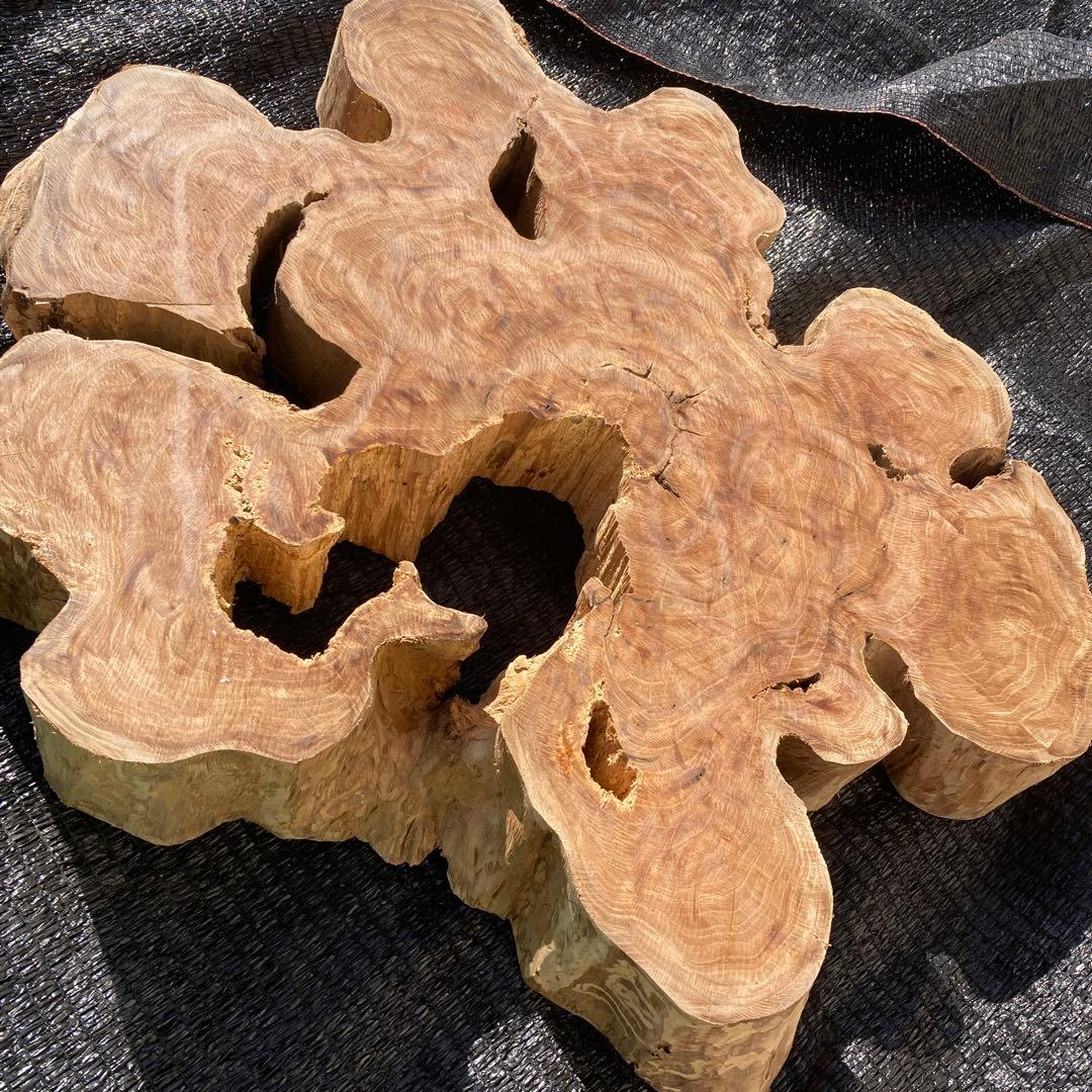 ①*ஐ一枚板！！インテリアディスプレイやテーブルにも*ஐ【輪切り・丸太・切り株】
