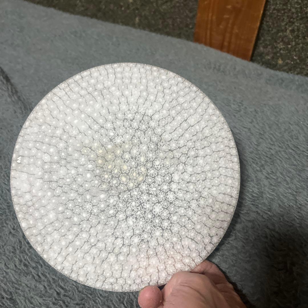 dadoi77  ErcoleMoretti ☆エルコーレ モレッティ