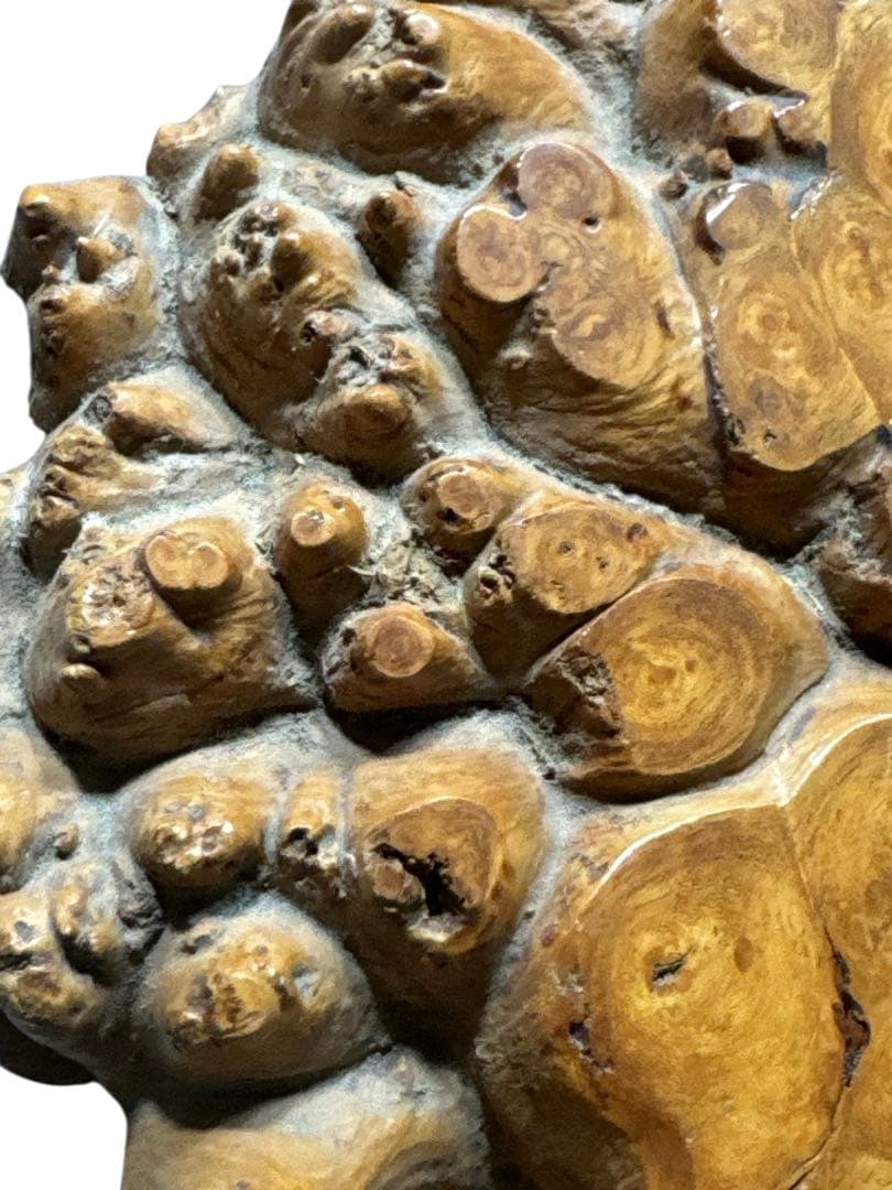 花梨 瘤 一枚板 天然木 葡萄杢 玉杢 瘤杢 座卓 飾台 花台 座敷机 盆栽台