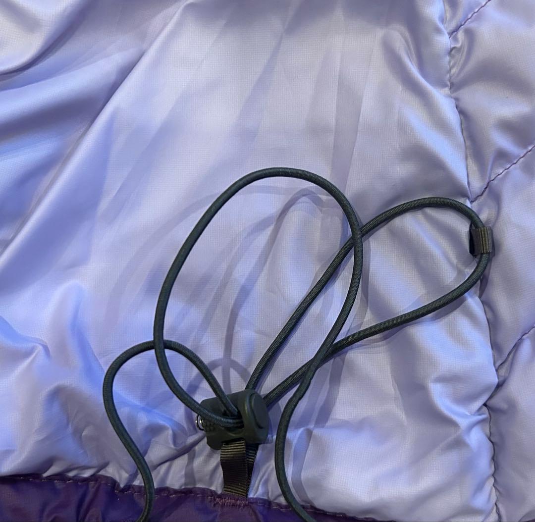 patagonia ダウンジャケット