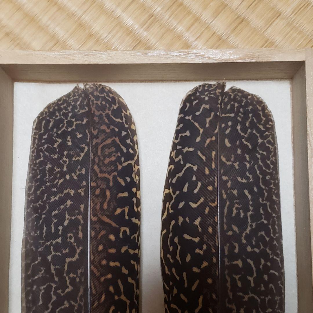 茶道具 炉用 青鸞 セイラン せいらん (胡麻) 羽箒 仕立師 杉本鳳堂