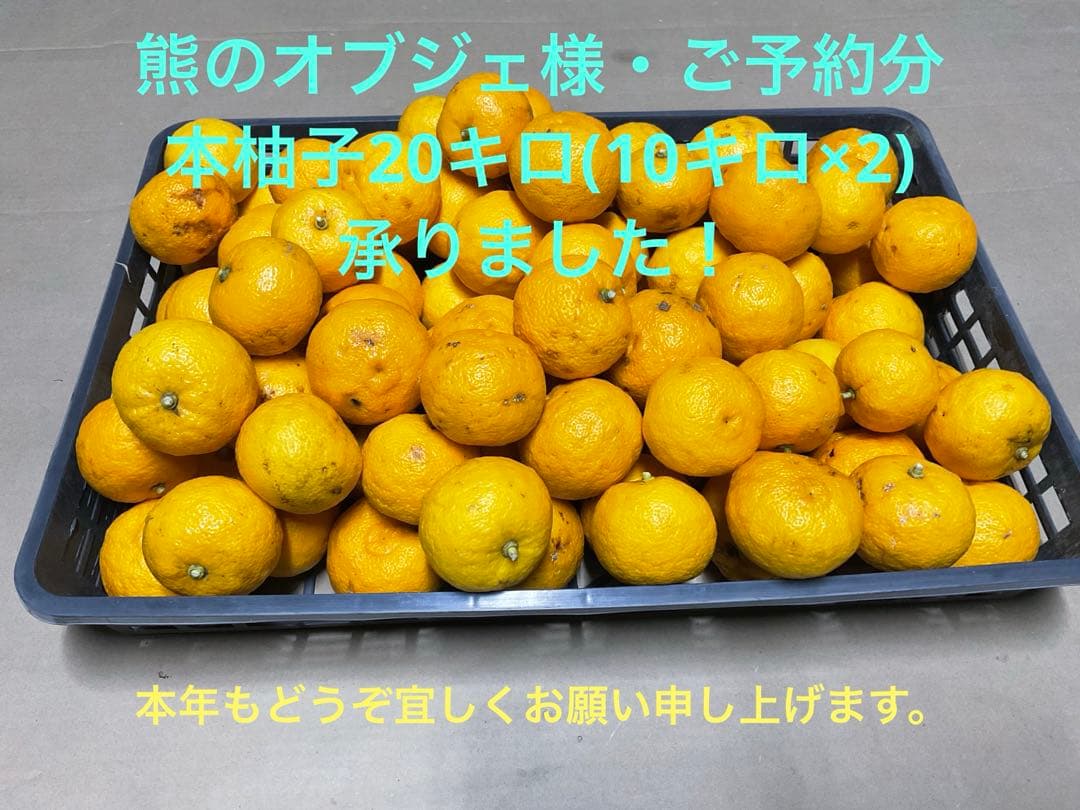 熊のオブジェ様　お得意様ご予約分　本柚子20キロ