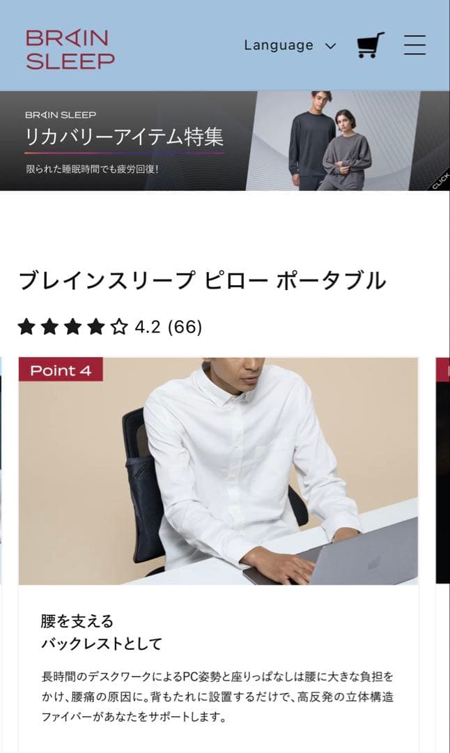 ブレインスリープ　ポータブル枕　ネックピロー　カバー付き