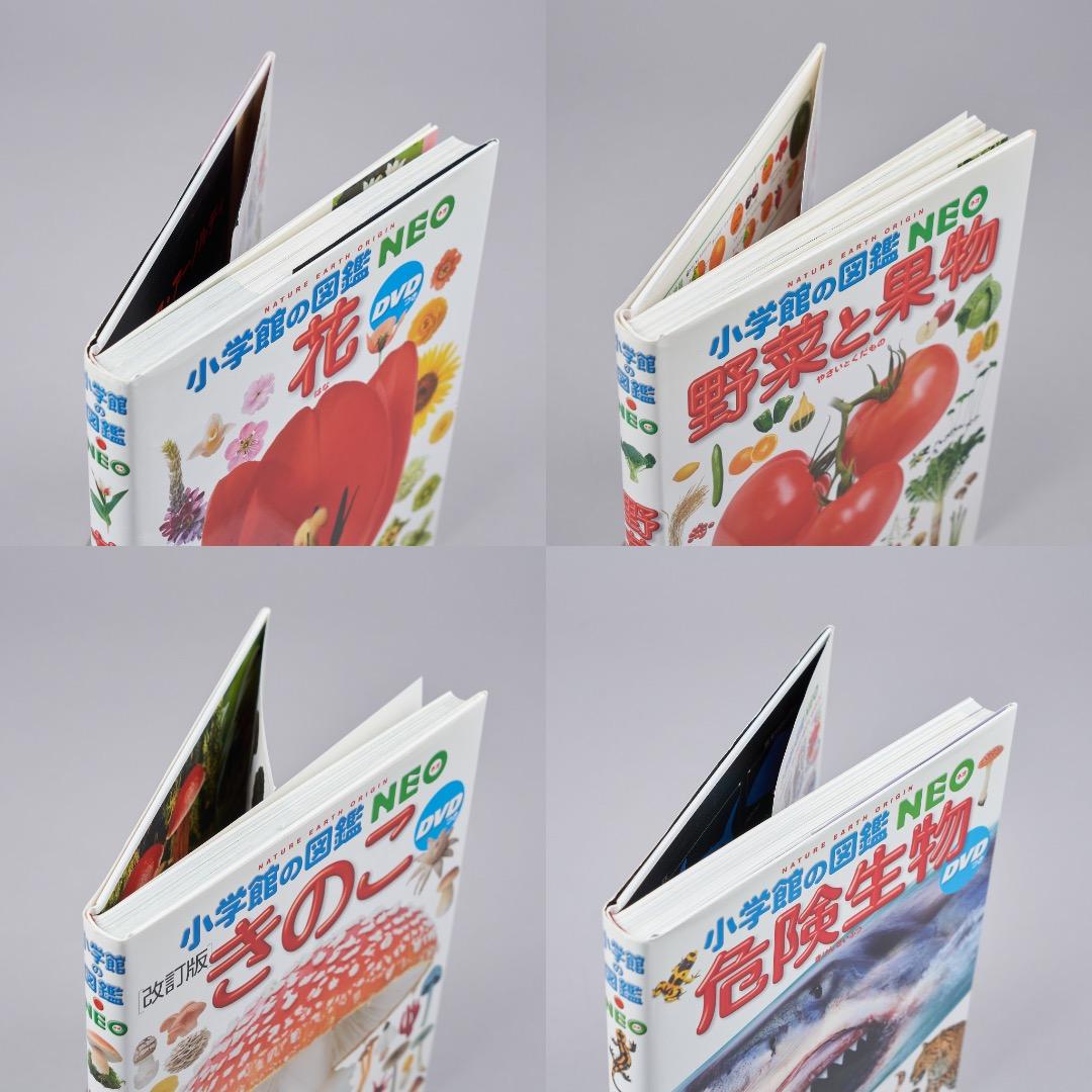 小学館の図鑑NEO 20冊セット