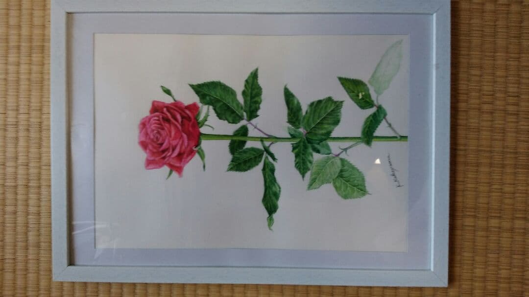 バラの水彩画