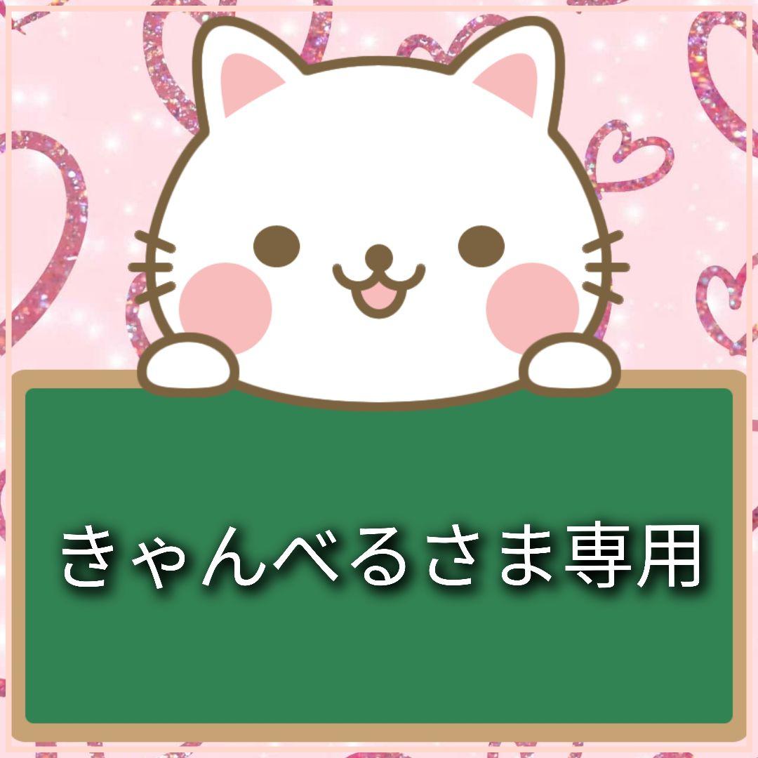 【受注制作】両面ミニトート１点 ミニトート1325