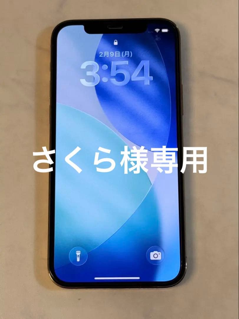 Apple iPhone 12 pro 【美品】256G バッテリー新品