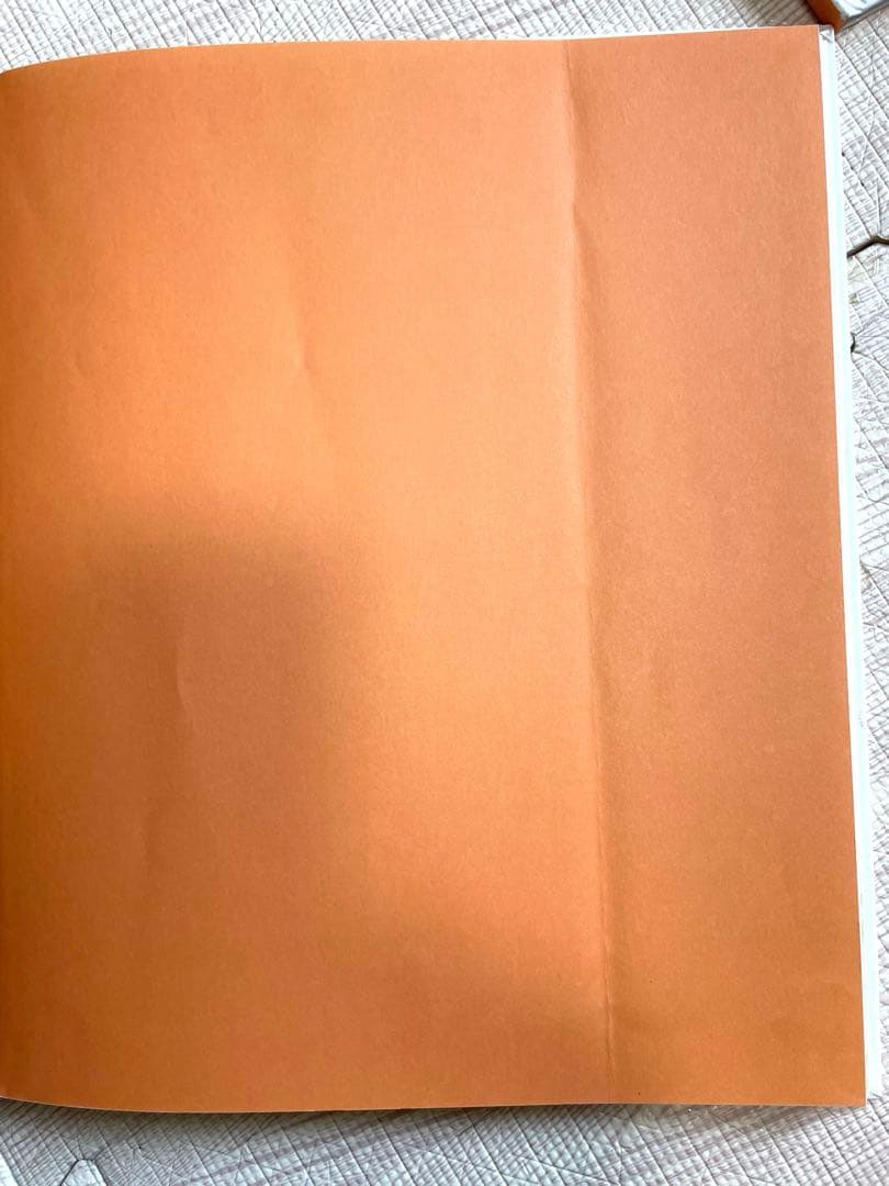 エクレア様　名作・人気絵本 38冊セット　ぐりとぐら 林明子 どんぐりむら