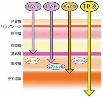 テラヘルツ鉱石を入れたアンクレット 長さ25cm ２本入り オレンジ色