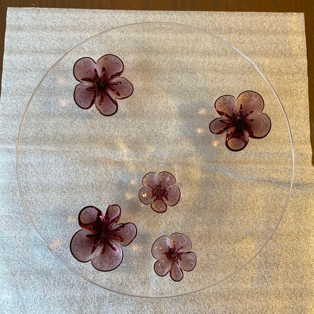 スガハラカメリアプレート　ワインレッド　お皿 sghr 新品未使用