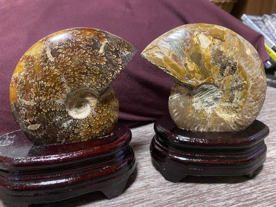 天然石☆水晶☆アンモナイト