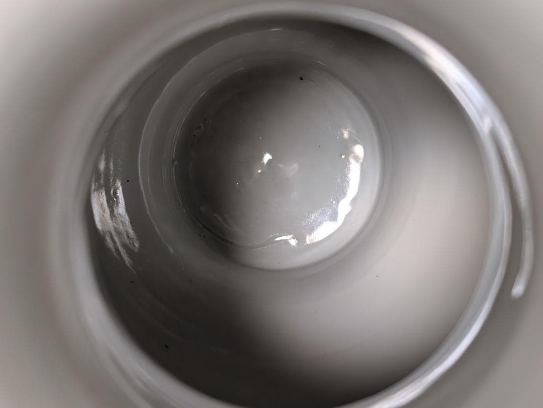 古美術　アンティーク　盤口瓶　双耳広口瓶　穿雲龍紋様　明治　九谷　谷口製