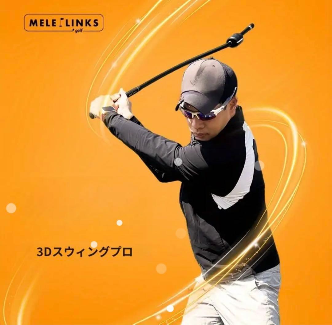即発送3Dswing mentor 同機能品Swing Pro スイングメンター