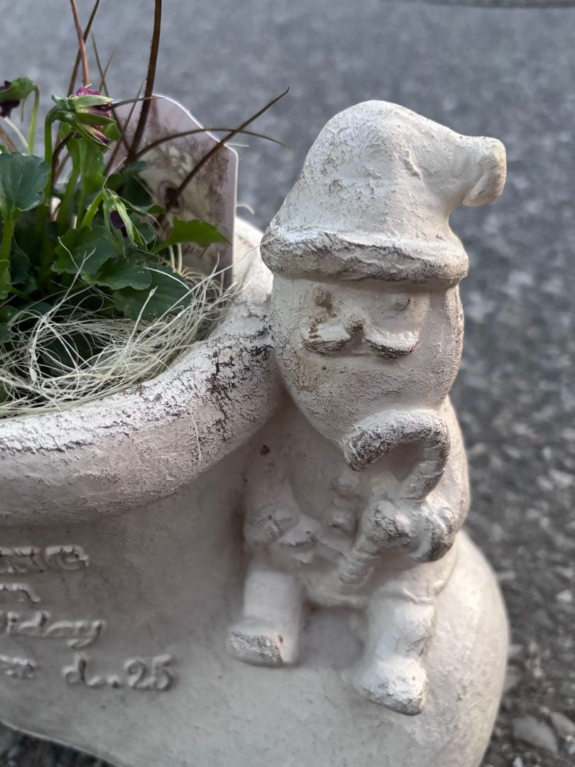 専用クリスマス寄せ植えサンタ長靴石川園芸マイガールビオラパンジー花苗