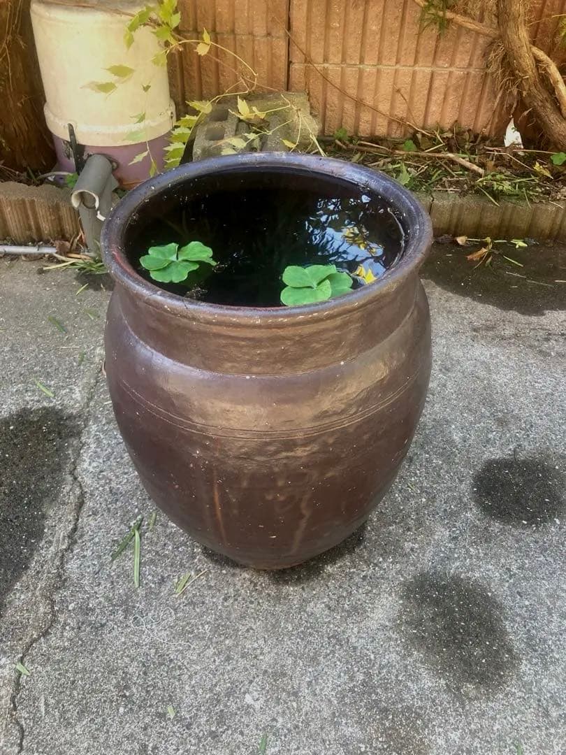 【古民具】大型 渋い黒釉 、ダークブラウン陶器の甕/壺 高さ50cm メダカ鉢