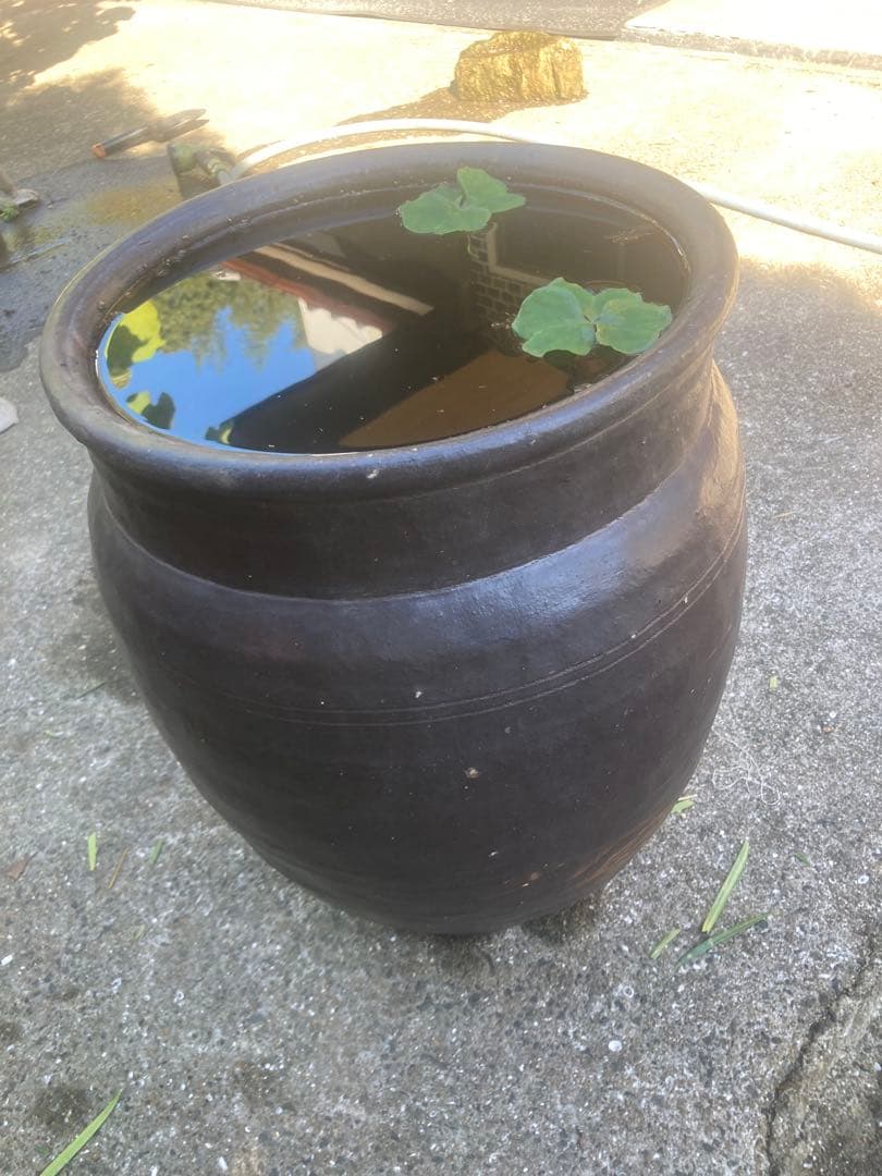 【古民具】大型 渋い黒釉 、ダークブラウン陶器の甕/壺 高さ50cm メダカ鉢