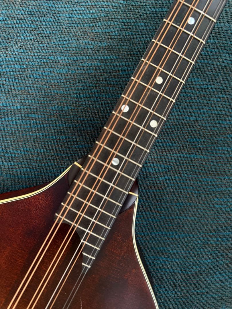 【最終価格】Eastman MDO-305 オクターブマンドリン